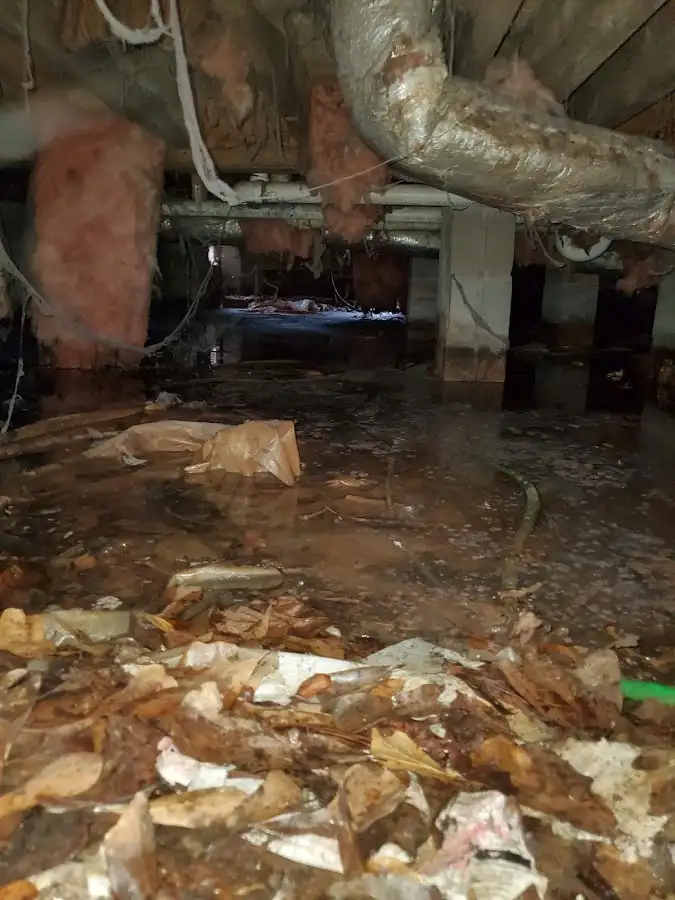 Crawl space flood assessment for Leak Detection & Repair in Suitland